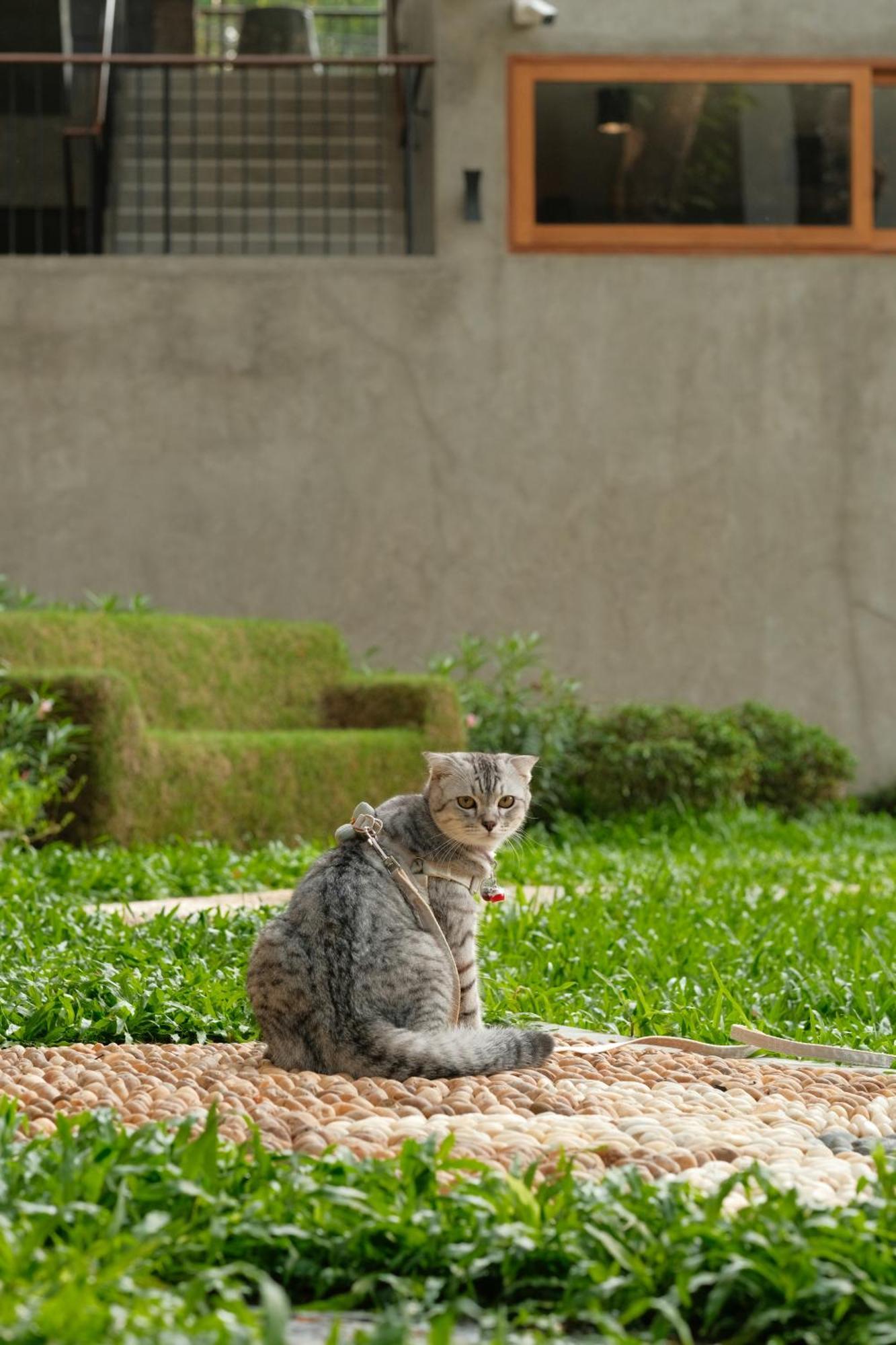 Proud Phu Fah Muang Chiang Mai Hotel Exterior foto